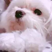Zerry※プロフィールお読み下さい。の画像