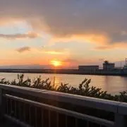 ゆんの画像