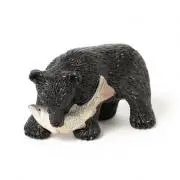 エヌ・ケイの画像