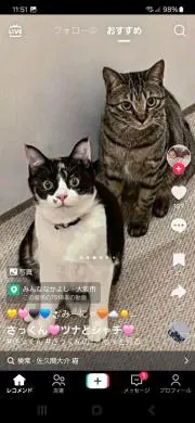メル17959の画像
