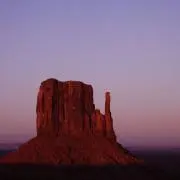 ぴの画像