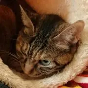 ゆてぃすけ☆プロフ必読