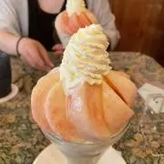 ハチの画像