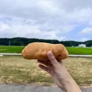 ちゃんゆきの画像
