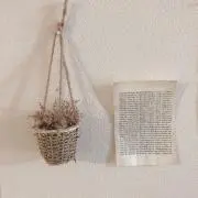 さあの画像