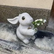 唐揚げの画像