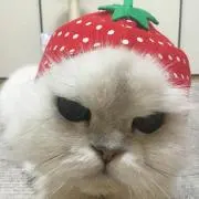 ちびすけ