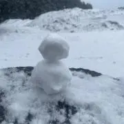 (^。^)