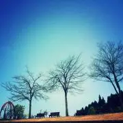 たえ