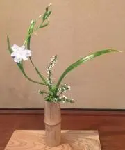 あなんの画像