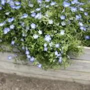 anの画像