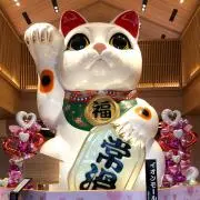 チェリー