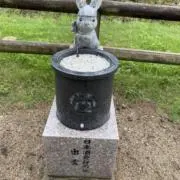 プーすけの画像
