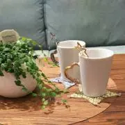 Yoshiの画像