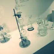 北極くま