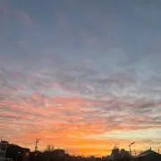 tiiの画像