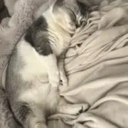 りの画像