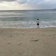 た
