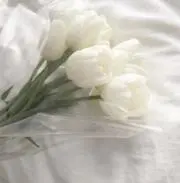 ちいなな◇24時間以内発送の画像