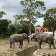 HAKUNAMATATA