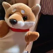 とかげの画像