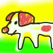 Osushiの画像