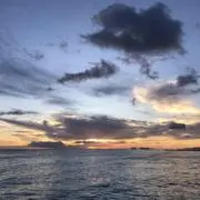 ダッドダッドの画像