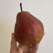 なみーの画像