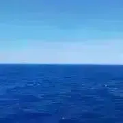 meruの画像
