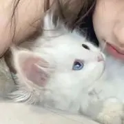 はーんんんんーわーわん