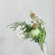 ※プロフ必読の画像