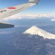 frcdp201の画像