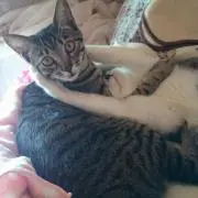 ゆう