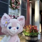 zoe☺︎の画像