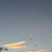 aaa