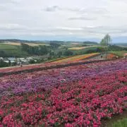 のののの画像