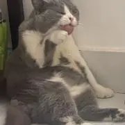 グエン　コック　フン