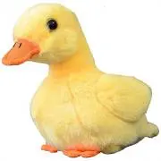 アヒル
