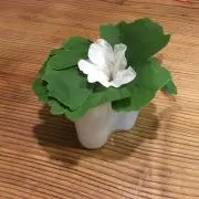 KK(^^)