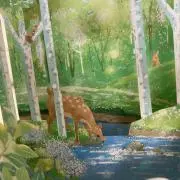 リリコリスの画像