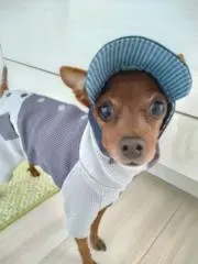 ピンママの画像