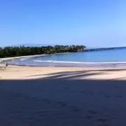 トマト☆の画像