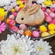 なのころりん