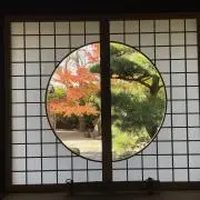 mamの画像