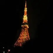 Mの画像