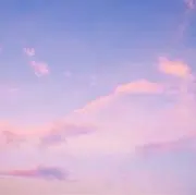 Yの画像
