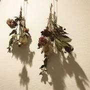 mamechanの画像