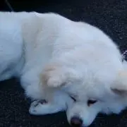 エミ(^ー^)✨ プロフ必読願います。の画像