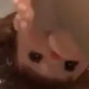 クリントの画像