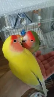 mの画像